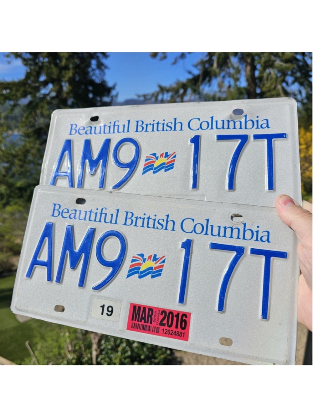 British Columbia License Plate Pair AM9 17T Matching Set W/ 2016 Tag BC Canada